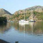 Sel Anchored